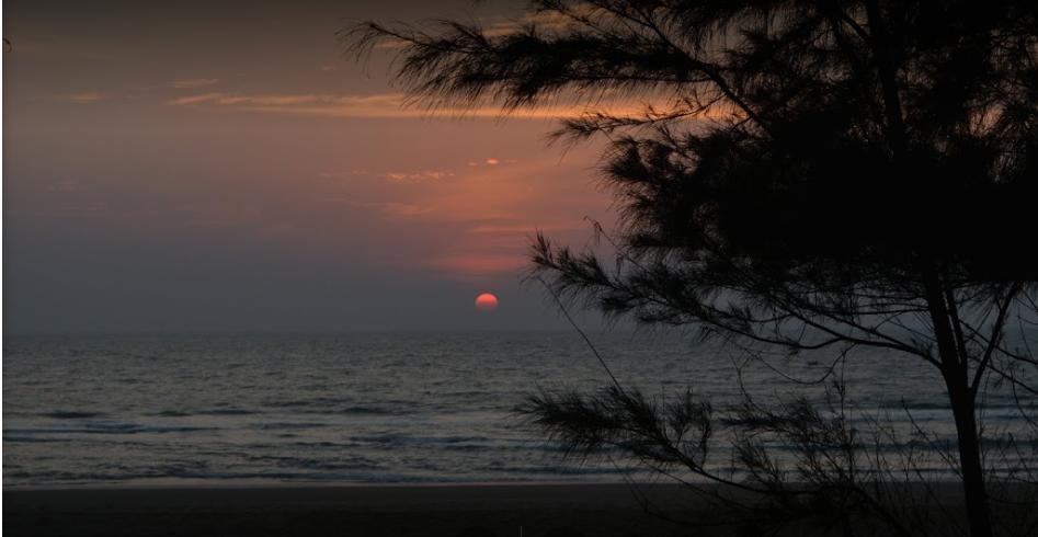 فندق Campcee By Gokarna Adventure المظهر الخارجي الصورة